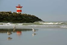 of birds and fishermen.jpg